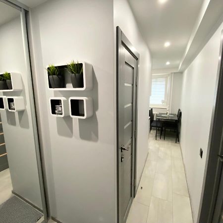 Studio Flat In Паневежис Екстер'єр фото