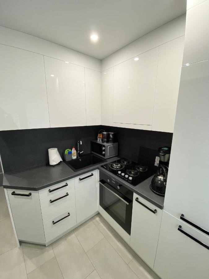 Studio Flat In Паневежис Екстер'єр фото