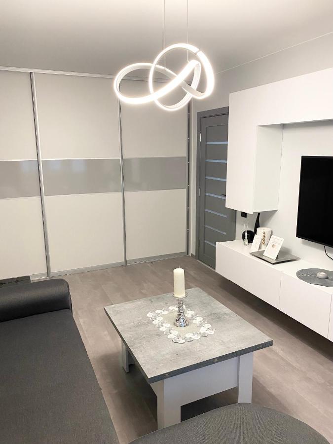 Studio Flat In Паневежис Екстер'єр фото
